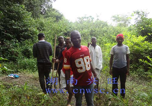 與非洲工人在礦區