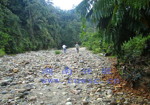 印尼礦區考察中